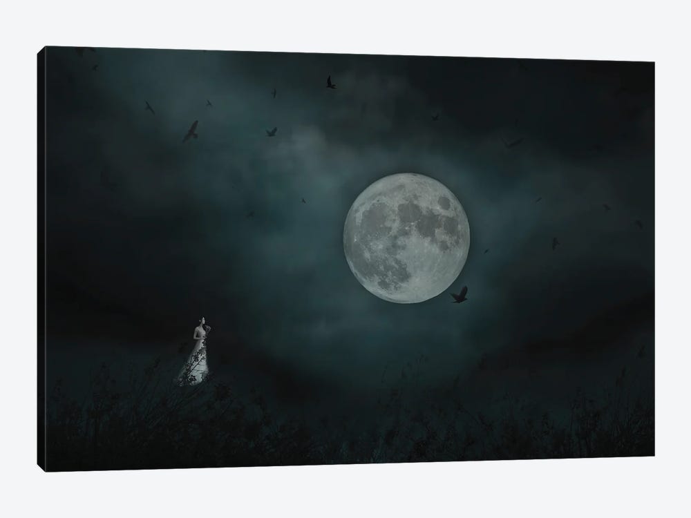 The Light Of The Moon by Maria Overlay 1-piece Canvas Wall Art