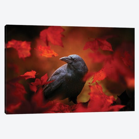 Autumn Crow Canvas Print #OVL37} by Maria Overlay Canvas Art Print