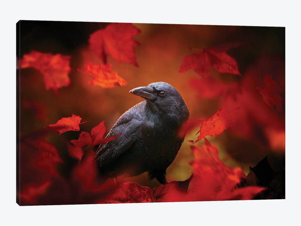 Autumn Crow by Maria Overlay 1-piece Canvas Wall Art