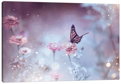 Sparkly Butterfly Canvas Art Print - Maria Overlay