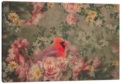 Cardinal In The Garden Canvas Art Print - Maria Overlay