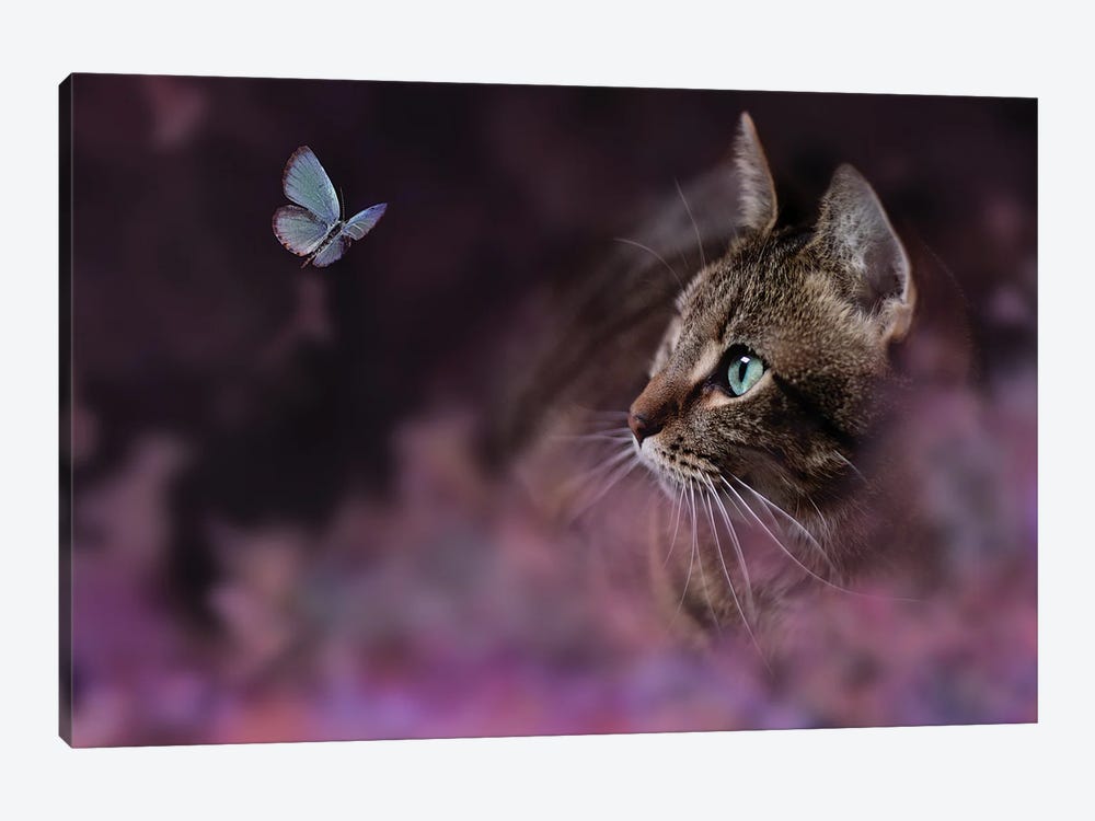 Molly The Cat by Maria Overlay 1-piece Canvas Wall Art