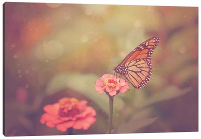 Boho Butterfly Canvas Art Print - Monarch Butterflies