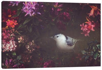 Nuthatch And Florals Canvas Art Print