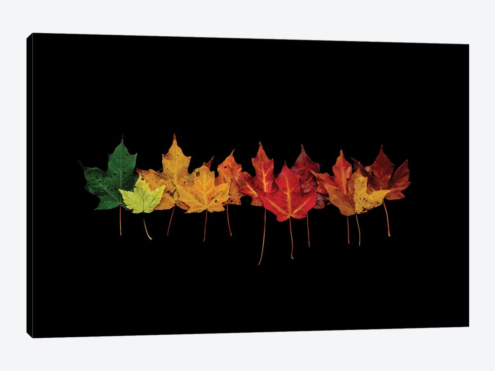Rainbow Leaves by Maria Overlay 1-piece Art Print