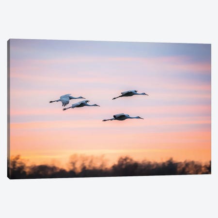 Prepare For Landing Canvas Print #OVL78} by Maria Overlay Canvas Art