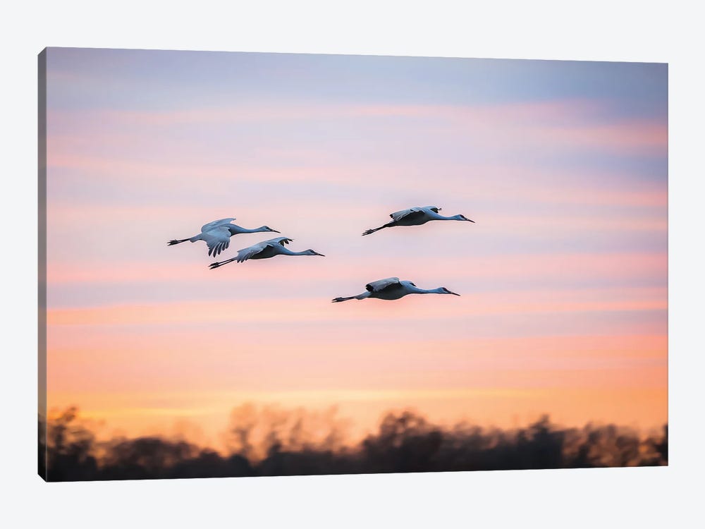 Prepare For Landing by Maria Overlay 1-piece Canvas Art Print