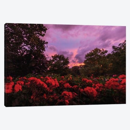 Flowers In The Setting Sun Canvas Print #OVL84} by Maria Overlay Canvas Wall Art