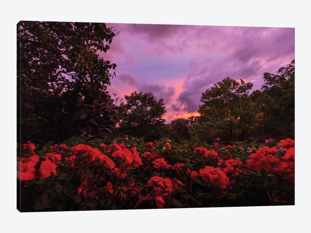Flowers In The Setting Sun by Maria Overlay 1-piece Canvas Art