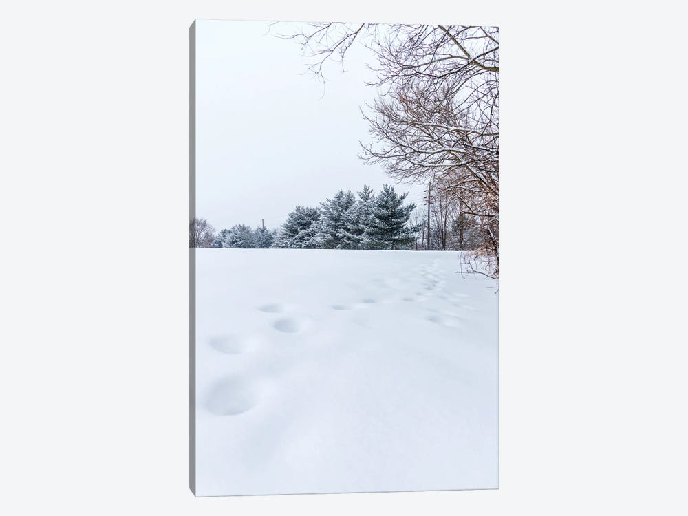 Foot Prints In The Snow by Maria Overlay 1-piece Canvas Art