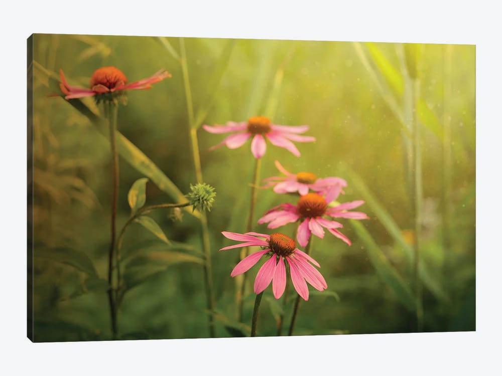 Magical Flowers by Maria Overlay 1-piece Canvas Artwork