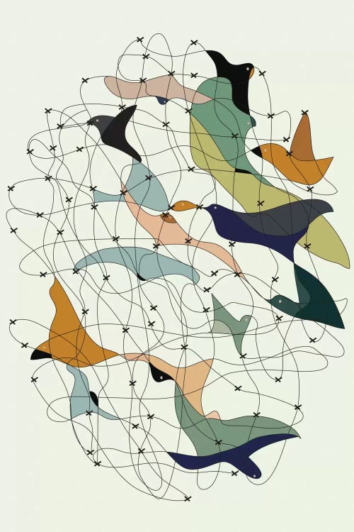 Chained Birds by Flatowl canvas print
