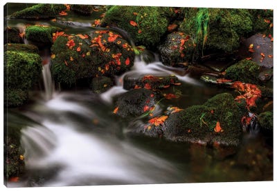 Autumn Melodies Canvas Art Print - River, Creek & Stream Art