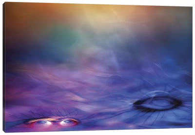 Only My Soul Canvas Art Print - Abstract Photography