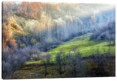 November Colors Canvas Art Print - Hill & Hillside Art