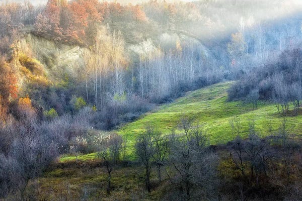 Hillsides: November Colors by Adrian Popan