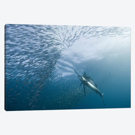 Hunter And The Hunted Canvas Print #OXM1099} by Alexander Safonov Canvas Print