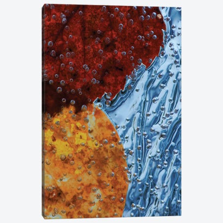 Leaves Frozen In Ice Canvas Print #OXM1112} by Allan Wallberg Canvas Wall Art