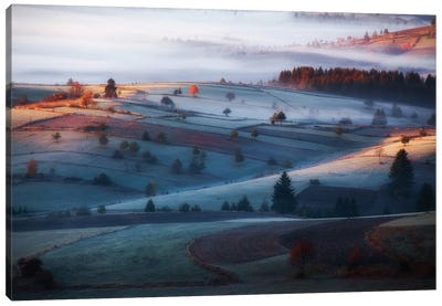 Mist Canvas Art Print - Countryside Art