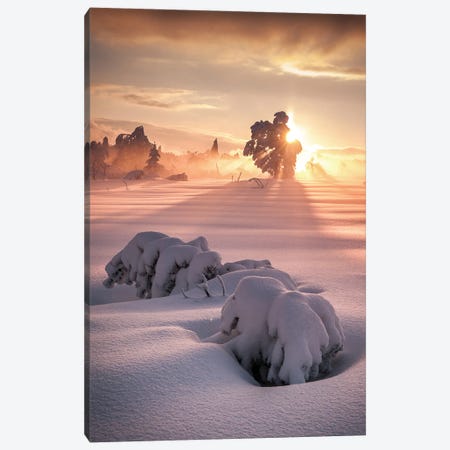 After The Storm Canvas Print #OXM1145} by Andreas Wonisch Canvas Art