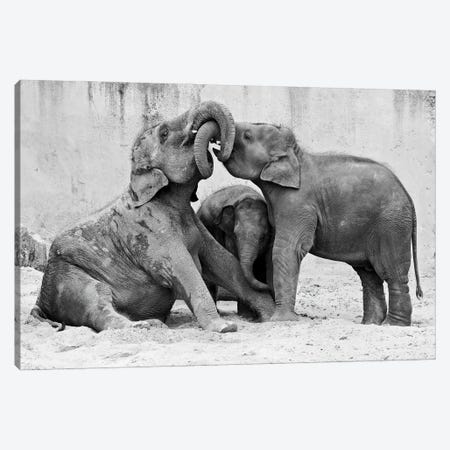 Manage A Trois Canvas Print #OXM1173} by Antje Wenner-Braun Canvas Wall Art