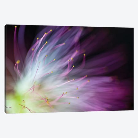 The Will-O-The-Wisp Canvas Print #OXM1199} by Art Lionse Canvas Artwork