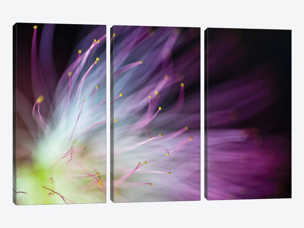 The Will-O-The-Wisp by Art Lionse 3-piece Canvas Wall Art