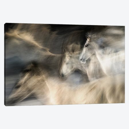 In Motion Canvas Print #OXM119} by Milan Malovrh Canvas Wall Art