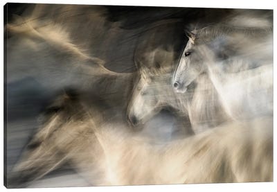 In Motion Canvas Art Print