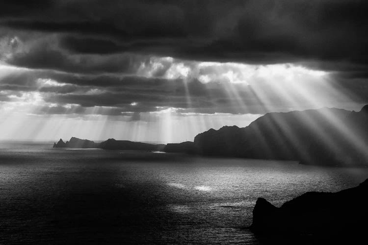 Morning Rays by Artfiction wall art