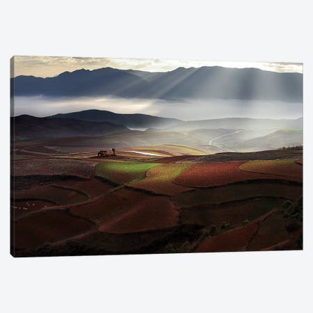 Early Spring On Red Land Canvas Print #OXM1231} by BJ Yang Canvas Art Print