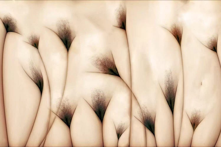 Vaginae Terram by Carlos P. Vazquez wall art