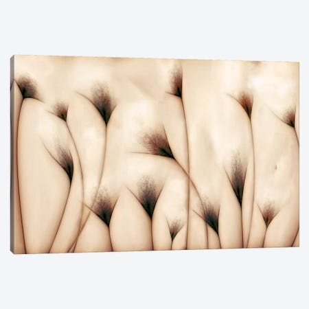 Vaginae Terram Canvas Print #OXM1259} by Carlos P. Vazquez Canvas Print