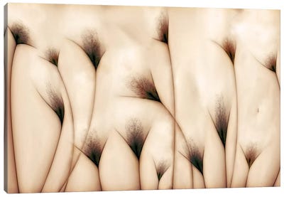 Vaginae Terram Canvas Art Print