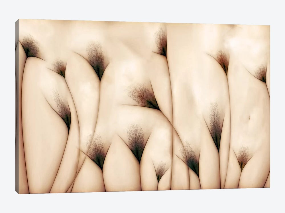 Vaginae Terram by Carlos P. Vazquez 1-piece Canvas Wall Art