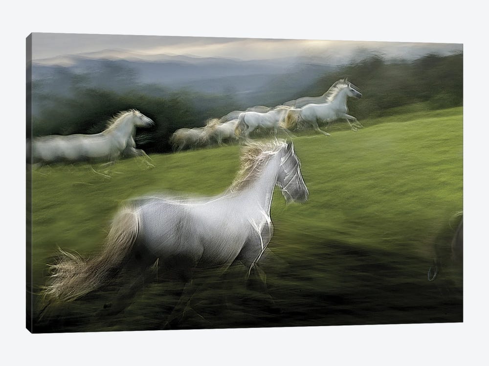 Over The Hill by Milan Malovrh 1-piece Canvas Wall Art