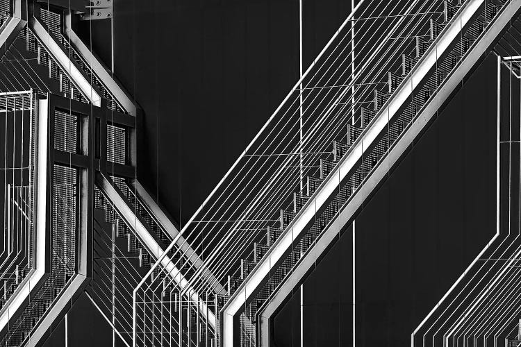 Moving Still by Paulo Abrantes wall art
