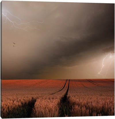 In The Vastness Of Strohgaeu Canvas Art Print - Moody Lit Photography