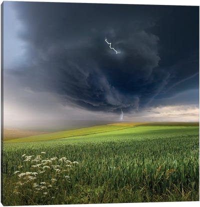 June Storm Canvas Art Print - Weather Art
