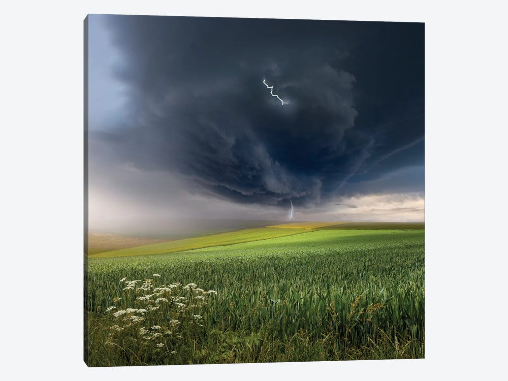 June Storm by Franz Schumacher 1-piece Canvas Art