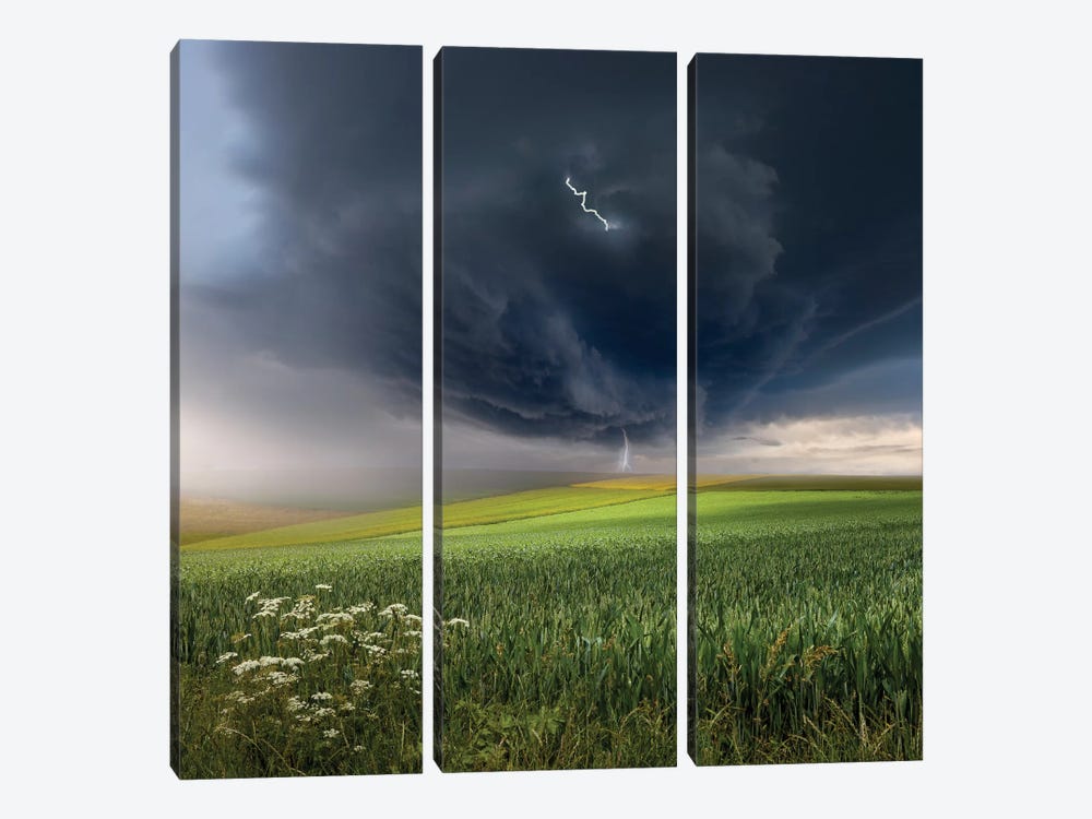 June Storm by Franz Schumacher 3-piece Canvas Wall Art
