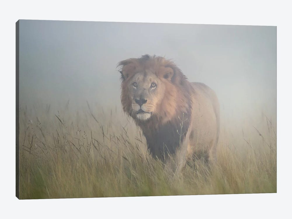 King In The Mist by Frits Hoogendijk 1-piece Art Print