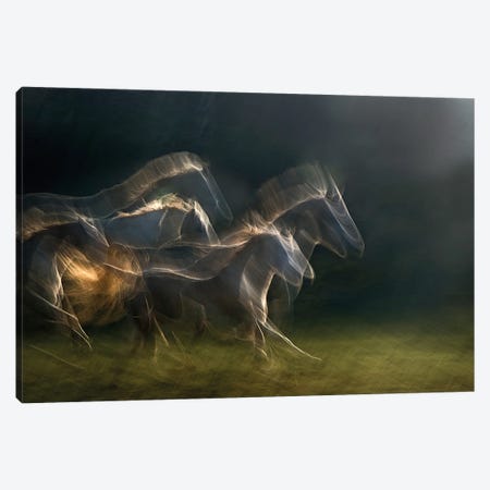 Echoing In Motion Canvas Print #OXM139} by Milan Malovrh Canvas Wall Art