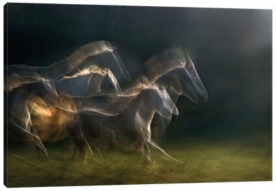Echoing In Motion Canvas Art Print