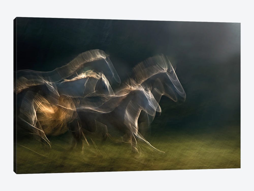 Echoing In Motion by Milan Malovrh 1-piece Canvas Art