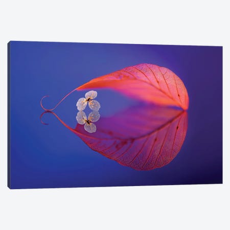 Flower In Heaven Canvas Print #OXM13} by Sophie Pan Canvas Wall Art