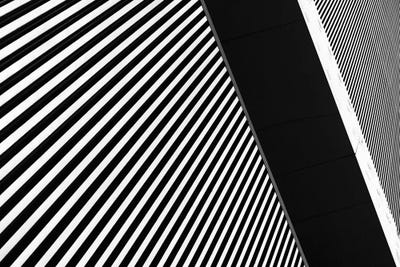 Paulo Abrantes