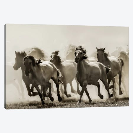 Horse Canvas Print #OXM1485} by Heidi Bartsch Art Print