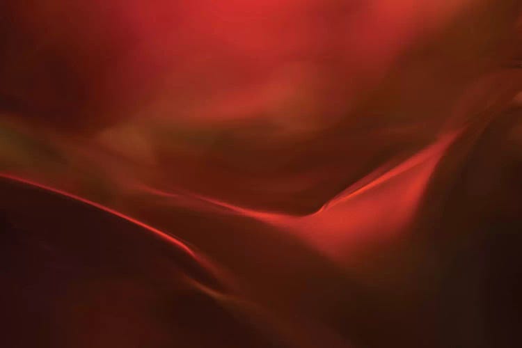 The Red Valley by Heidi Westum wall art