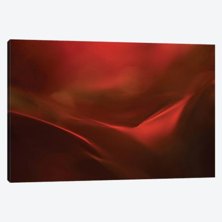 The Red Valley Canvas Print #OXM1488} by Heidi Westum Canvas Art
